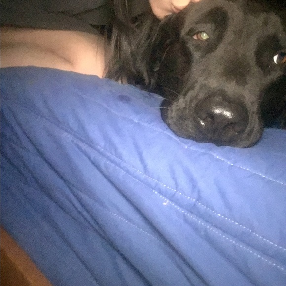 Meet your Posher, Ruth - Picture 1 of 1